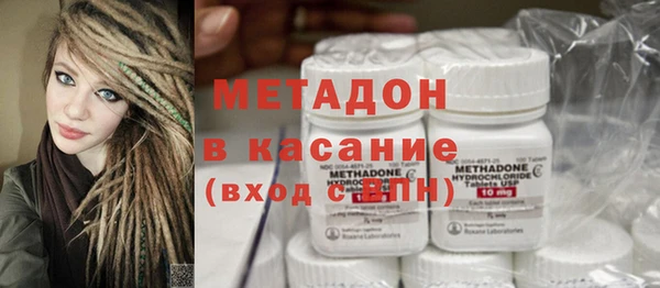 прущие грибы Александровское
