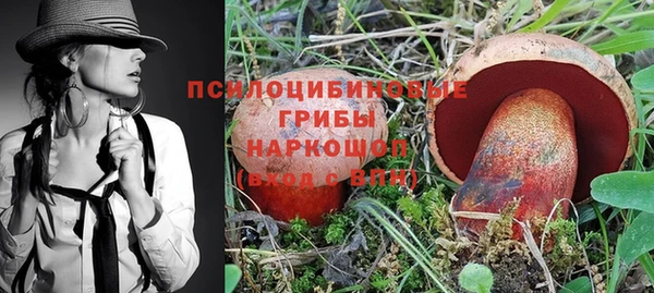 соль ск Корсаков