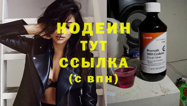 прущие грибы Александровское