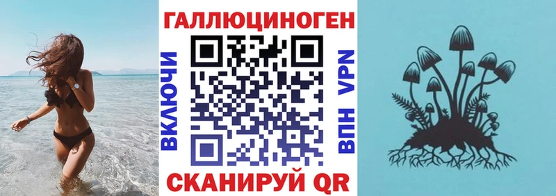 ссылка на мегу tor Мурманск Галлюциногенные грибы Psilocybe