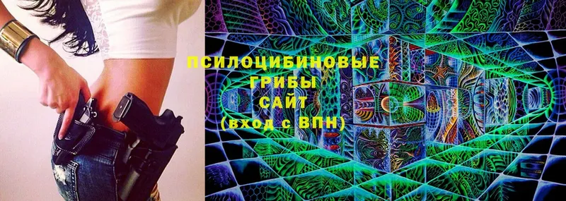 Галлюциногенные грибы Cubensis  Мурманск 