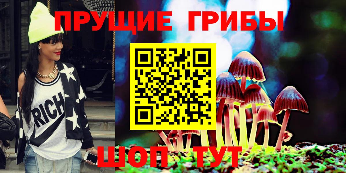 Галлюциногенные грибы Psilocybine cubensis Мурманск