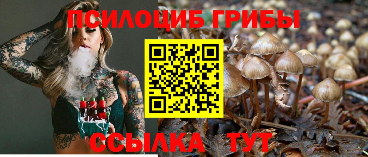 Галлюциногенные грибы Cubensis Мурманск