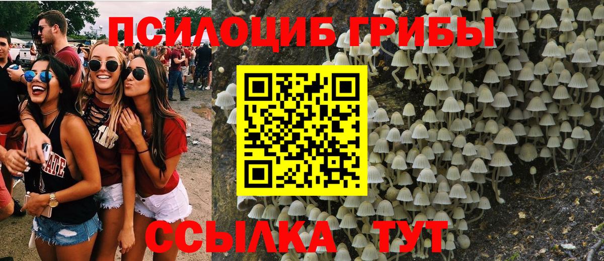 Псилоцибиновые грибы MAGIC MUSHROOMS  Псилоцибиновые грибы ЛСД  Мурманск 